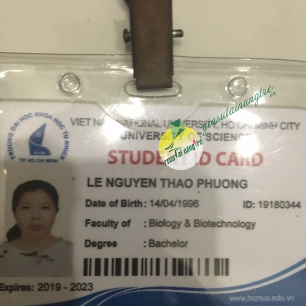 Lê Nguyễn Thảo Phương