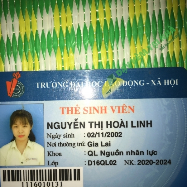 Hoài LInh