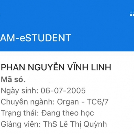 Phan Nguyễn Vĩnh Linh