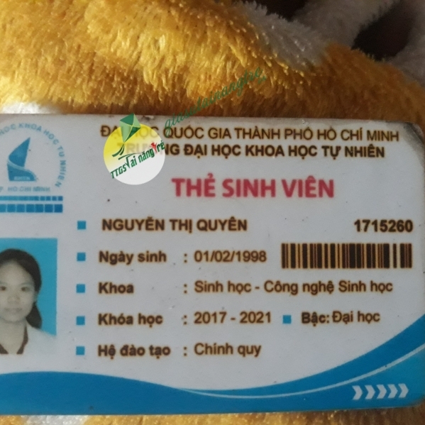 Nguyễn Thị Quyên